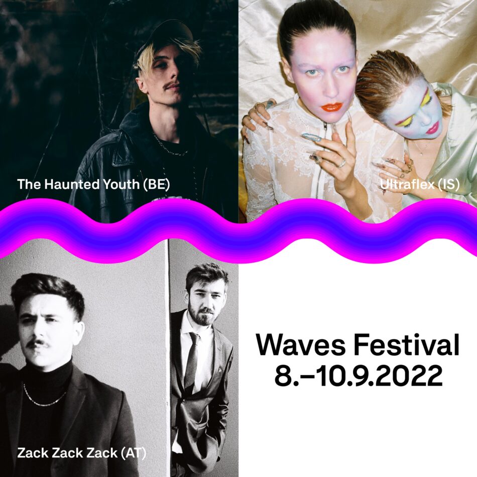 (c) Vienna Waves 2022